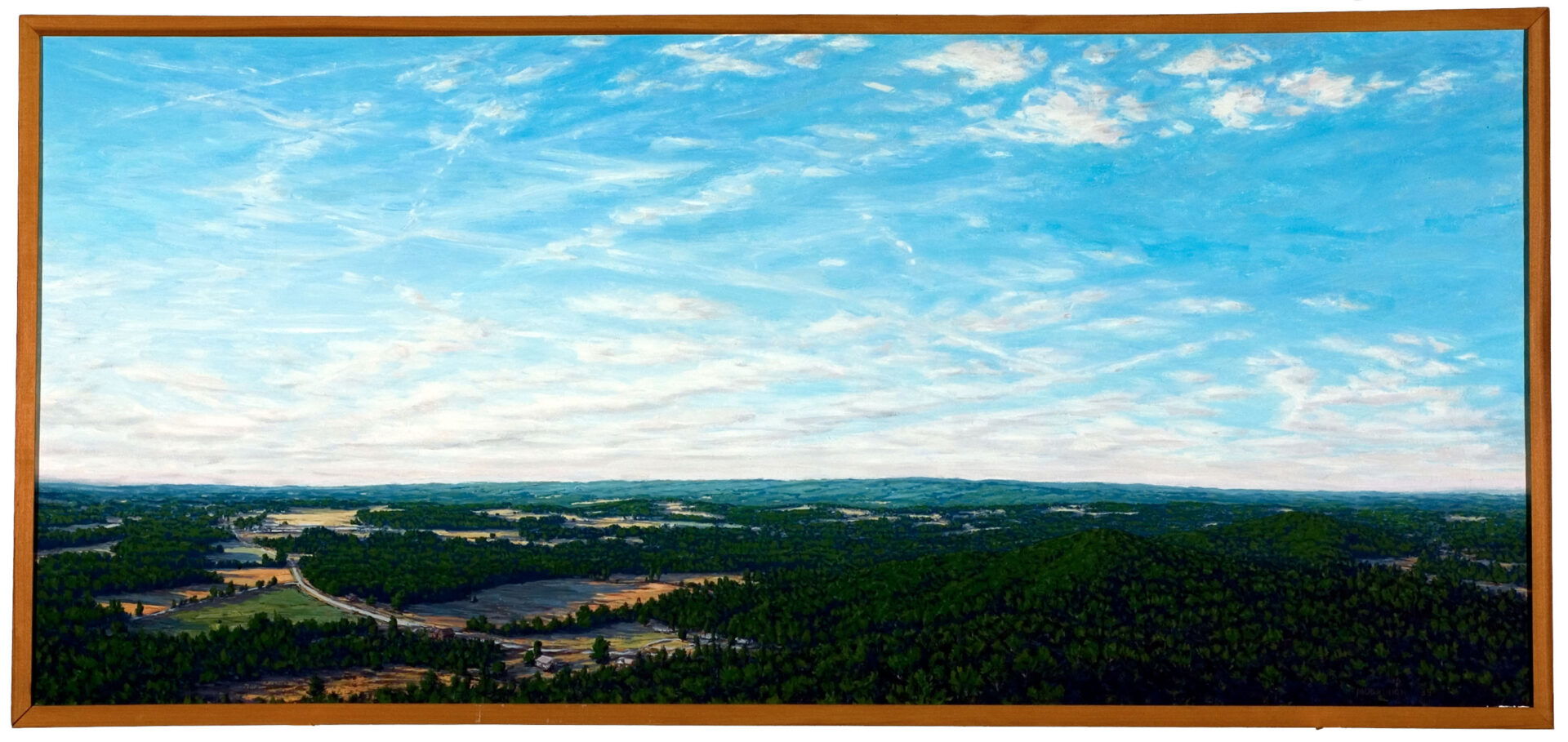 Beyond Turkey Buzzard Mountain