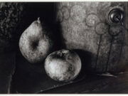 Fall Still Life: Jackson County