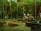 Cane Island Site