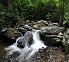 Chattahoochee National Forest