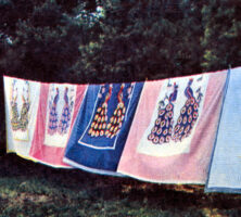 Chenille Bedspreads