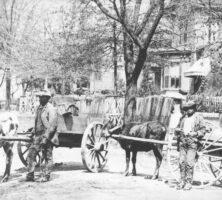 Cherry Street in Macon