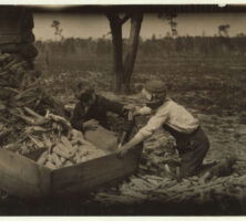 Children Threshing Corn