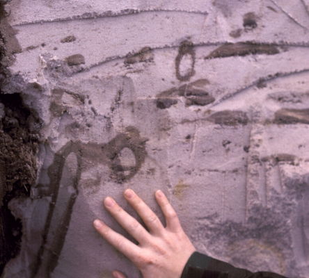 Crab Burrows