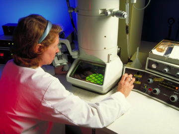 Electron Microscopy Lab, UGA