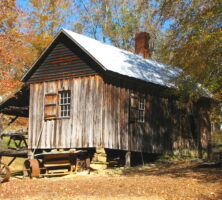 Jarrell Plantation Historic Site