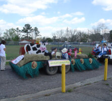 Livestock Festival Parade