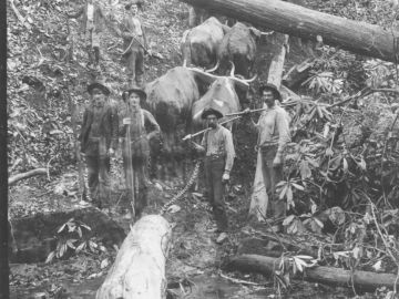 Logging, Tallulah River