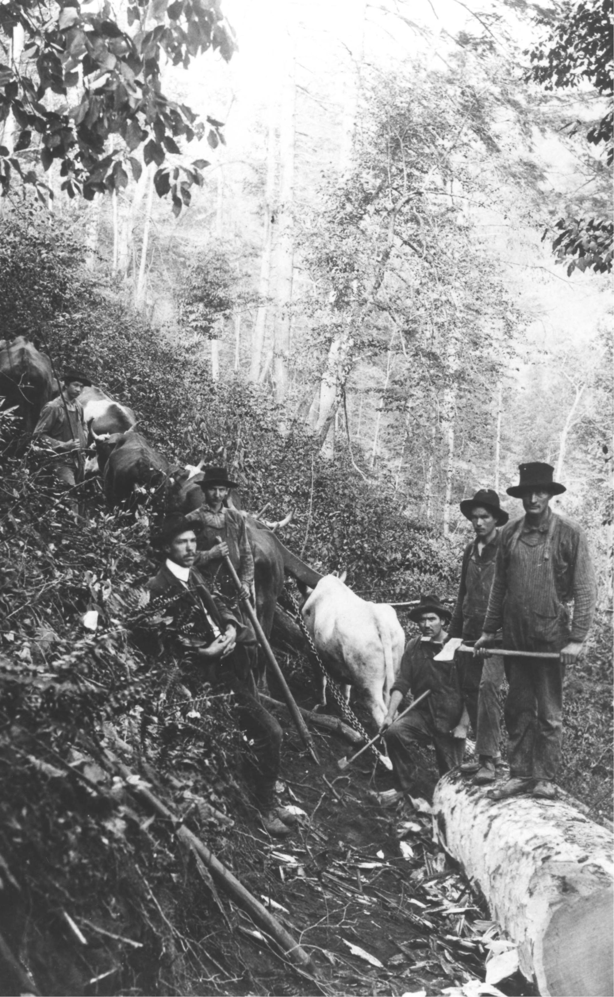 Cliff Creek, Rabun County