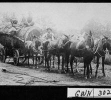 Logging, Lawrenceville