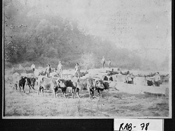 Logging, Rabun County
