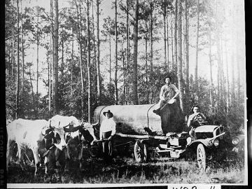 Logging, Worth County