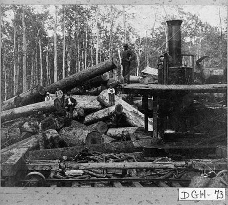 Timber Industry