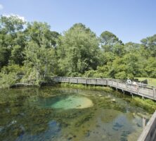 Magnolia Springs State Park