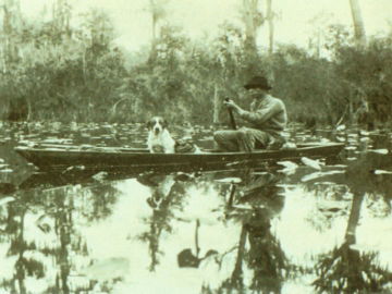 Okefenokee Swamp
