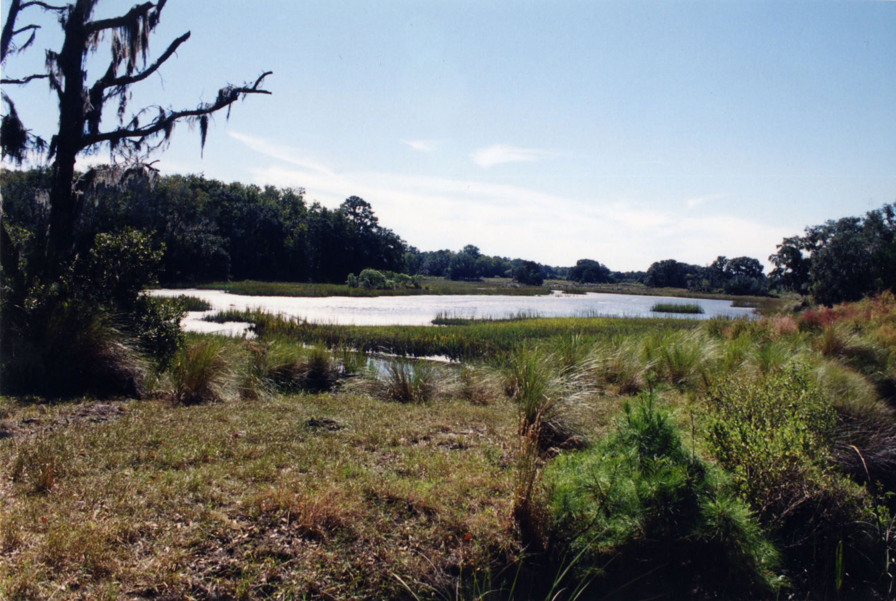 Original Acrylic Painting shops of the Sapelo River in Eulonia, Georgia, Low County, Salt Marsh, Coast