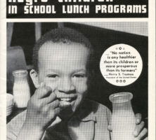 School Lunch Brochure