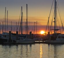 Shrimp Boats