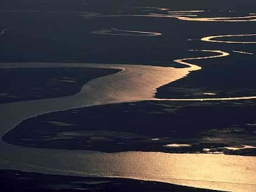 Tidal Creek, Sapelo Island