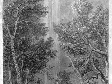 Toccoa Falls