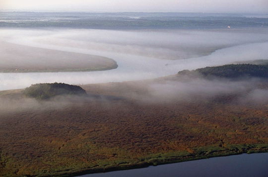 Upper Coastal Plain - New Georgia Encyclopedia