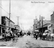 Valdosta Cotton Exchange