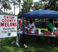 Watermelon Capital