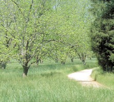 Seven Islands Nature Trail