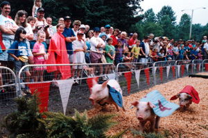 Georgia Mountain Fair