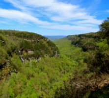 Cloudland Canyon